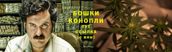 дурь Белоозёрский