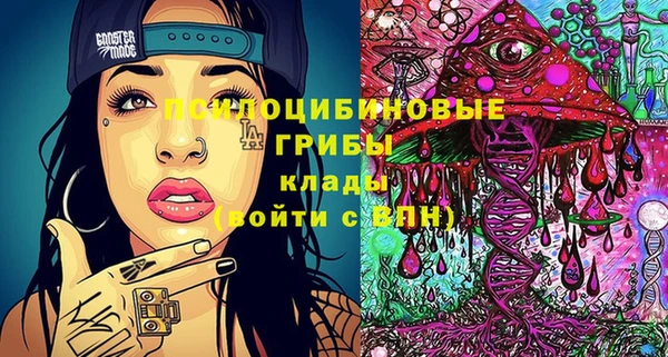 ешки Белокуриха