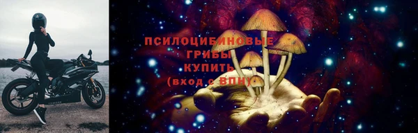 спиды Беломорск