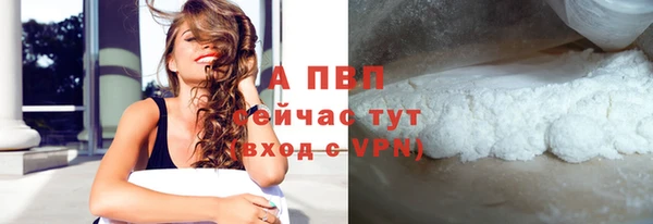 ешки Белокуриха