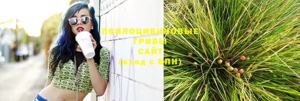 спиды Беломорск