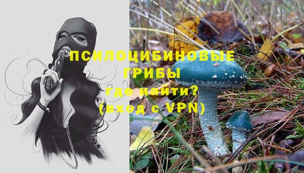 дурь Белоозёрский